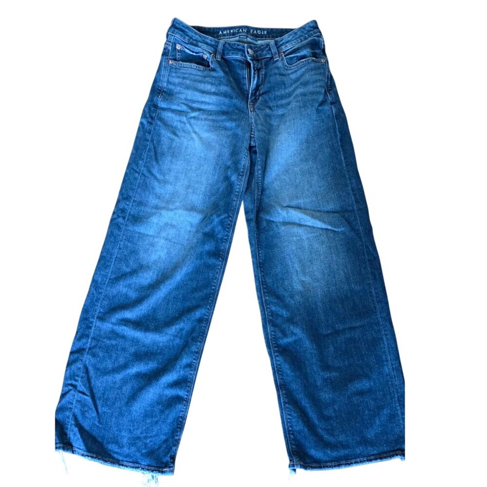 American Eagle Low rise baggy jeans sz 2
